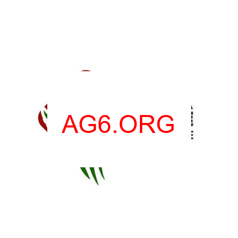 泰兴麻将预览图